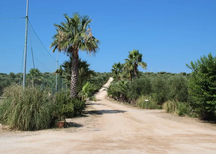 Szálloda Bioagriturismo Masseria Sciaiani Piccola